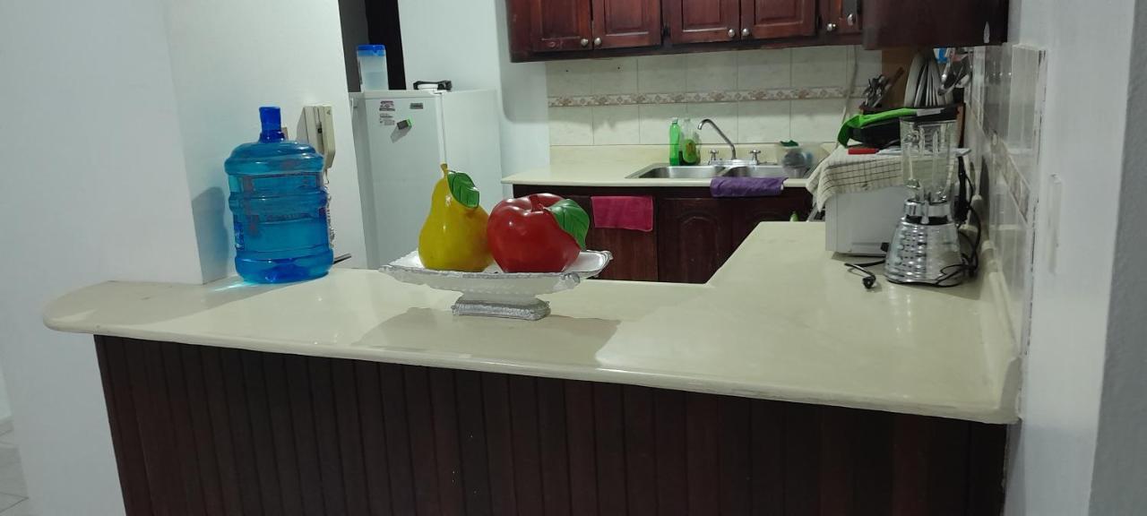 Amplio Y Acogedor Apartamento Santiago De Los Caballeros Buitenkant foto